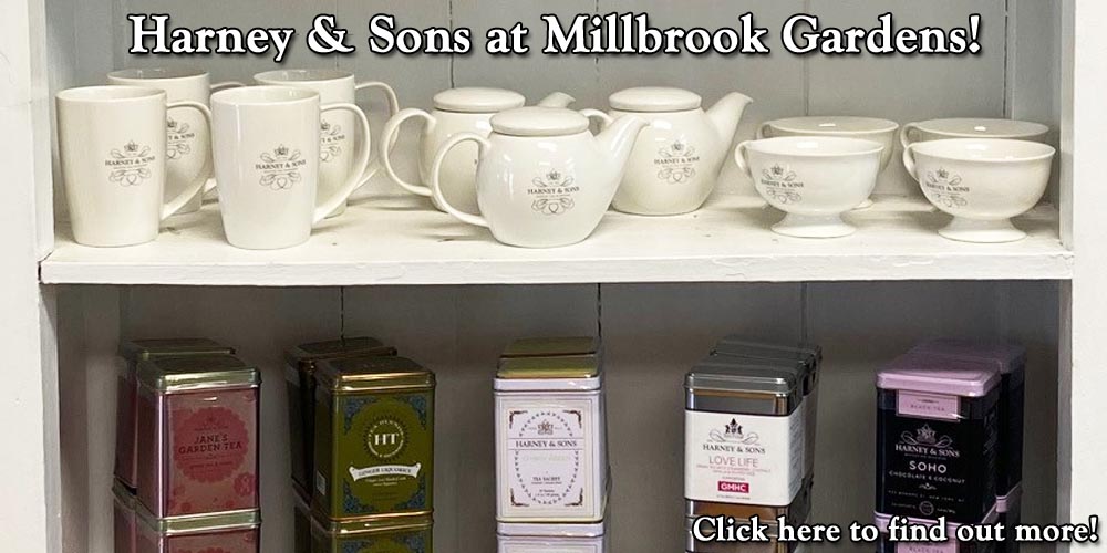 Harney & Sons at Millbrook Gardens!